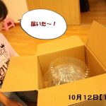 シイタケ栽培キットを育てたよ。簡単に自宅でできる食育だね。